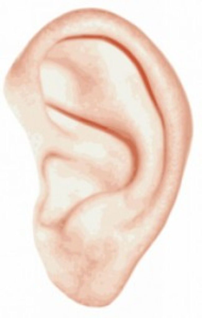 endoscopic ear surgery PJr6wRjS |