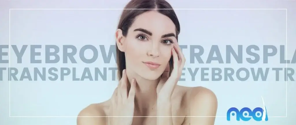 eyebrow transplant turkey